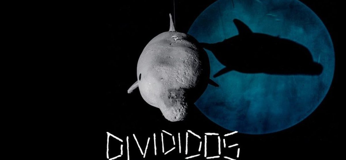 divididod