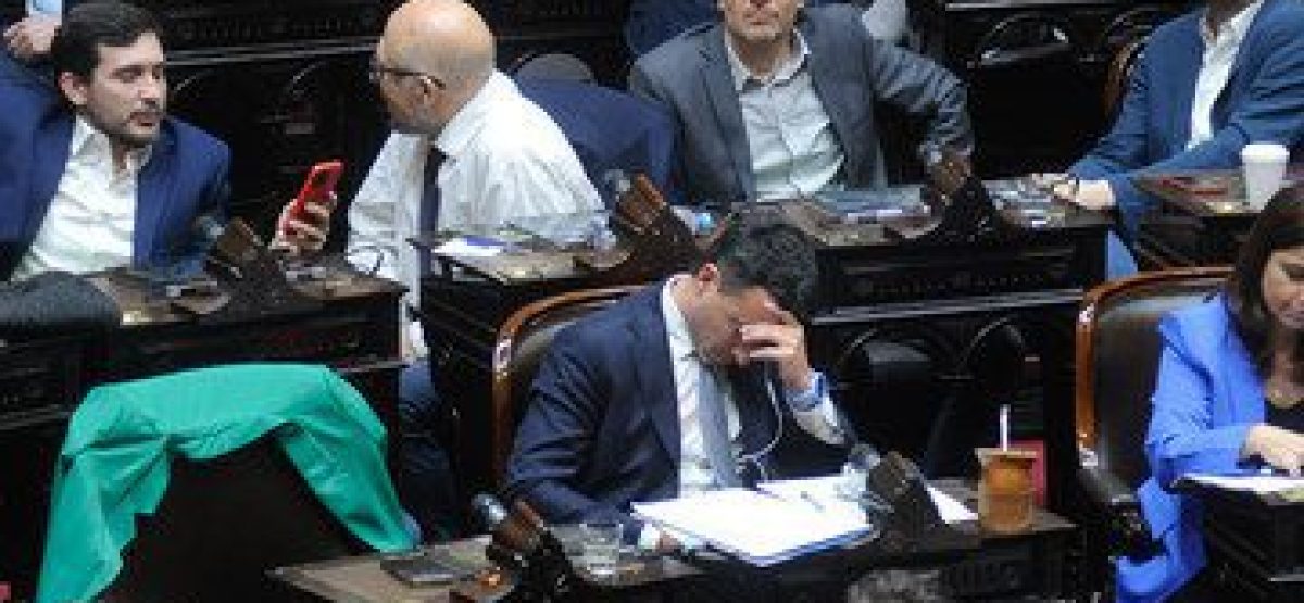 Diputados sesion por el veto a jubilados
Rodrigo De Loredo 
foto Federico Lopez Claro