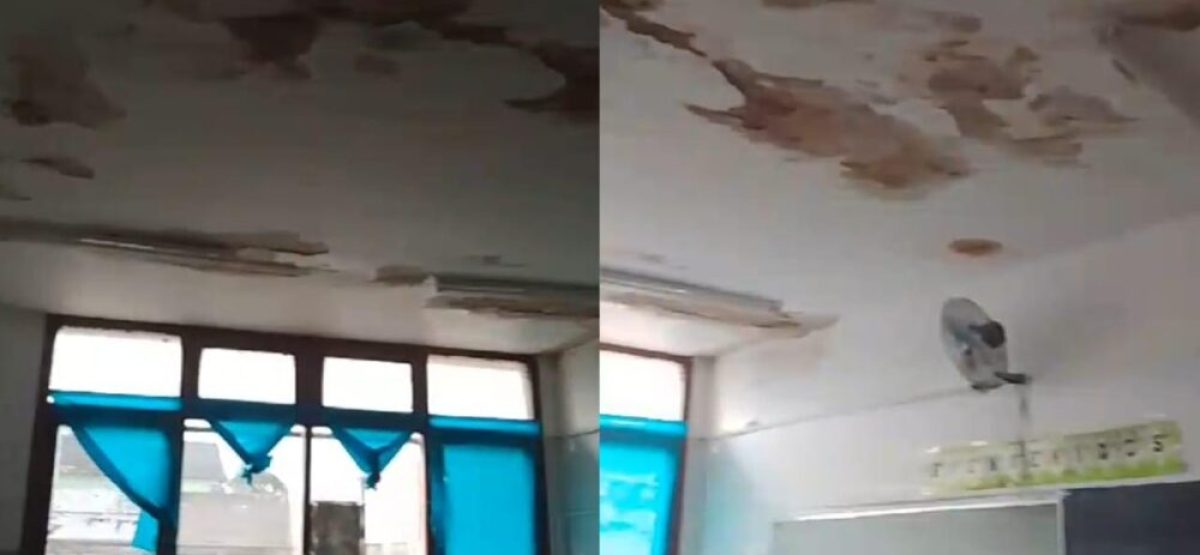 escuela 14