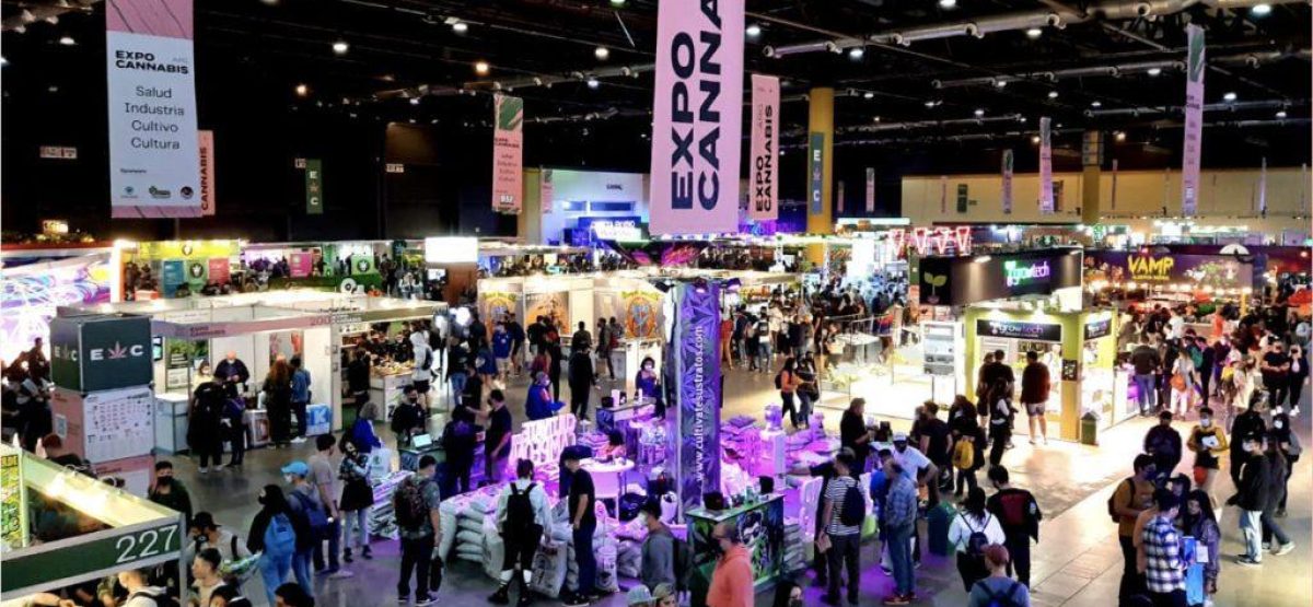 expo cannabis