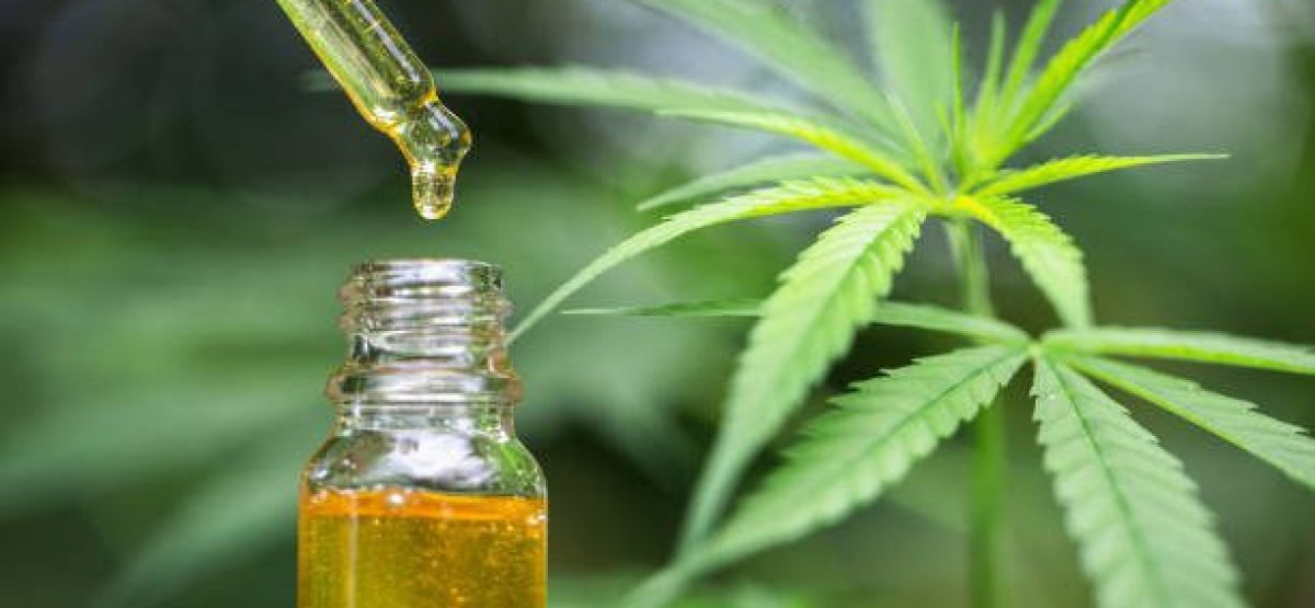 Hemp oil, Medical marijuana products including cannabis leaf, dried bud, cbd  and hash oil over black wood background