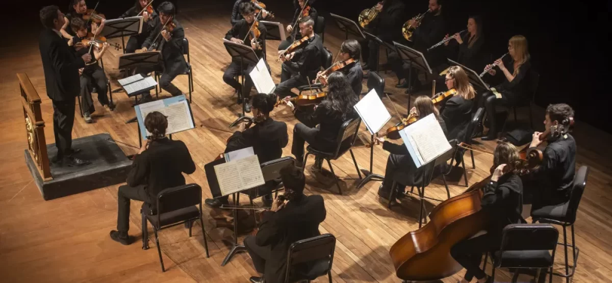 la-camerata-academica-se-presentara-junto-un-destacado-contrabajista.jpg la-camerata-academica-se-presentara-junto-un-destacado-contrabajista.jpg