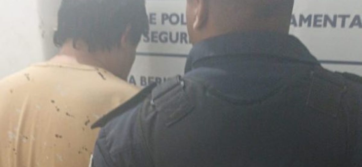 policiales